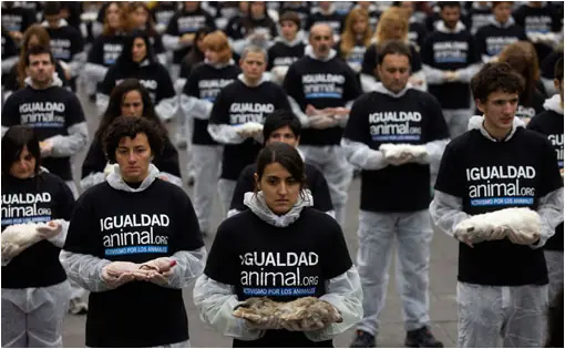 Activismo por los animales