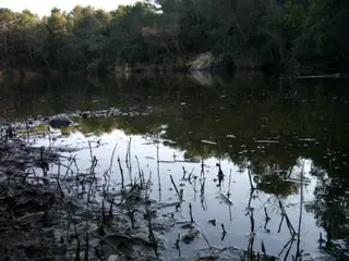 El pantano maldito de Can Bogunyà.