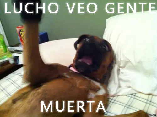 bueno