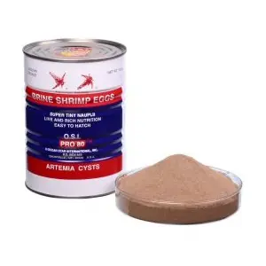 Pasos para eclosionar cistes de Artemia Salina