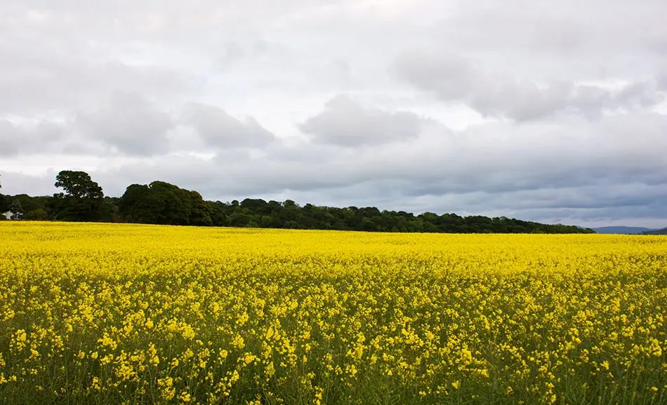 todo lo que quieres saber de photoshop 5