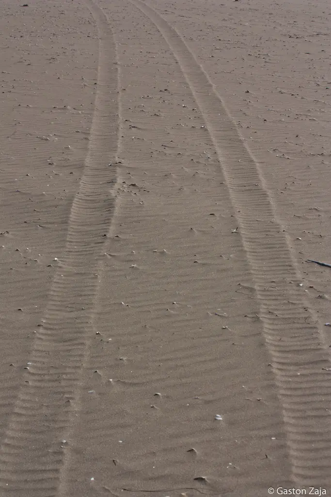 De frente al mar - Interpretación fotográfica.