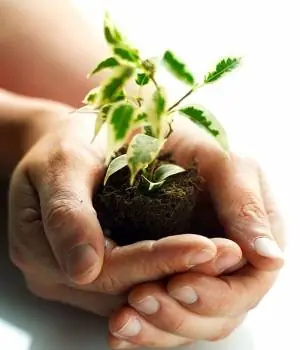 Cuida El Medio Ambiente desde tu casa