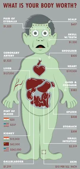 Cuánto vale cada parte de tu cuerpo en el mercado negro