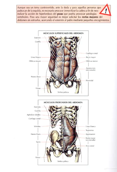 Abdomen plano (sintener q comprar aparatos caros)