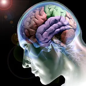 Diez cosas que deberías saber sobre tu cerebro