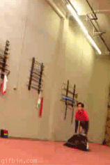 Gifs