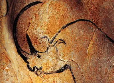 The cave of forgotten dreams. Werner Herzog.