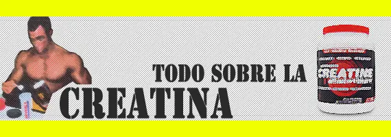 Todo sobre la Creatina
