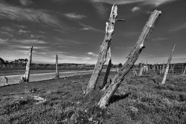 El Tono De La Imagen (Efecto Virado)