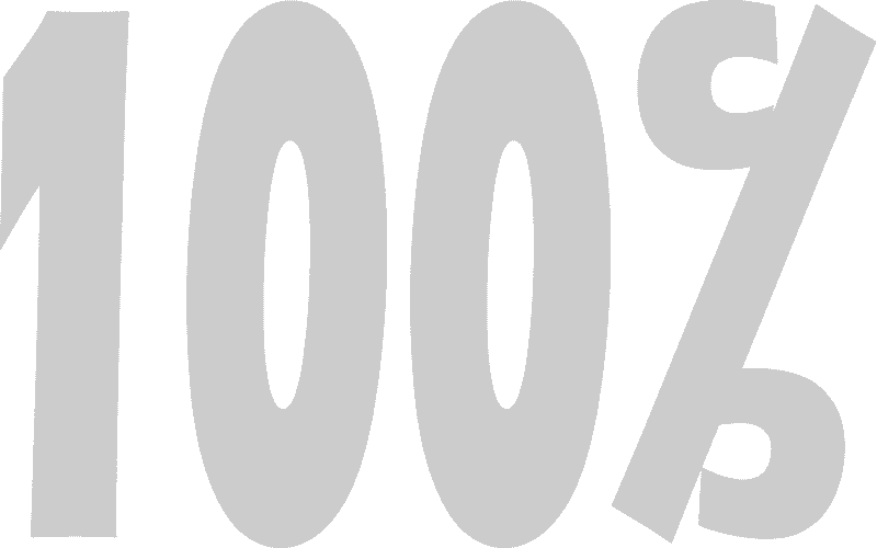 ¿Qué significa 100%?