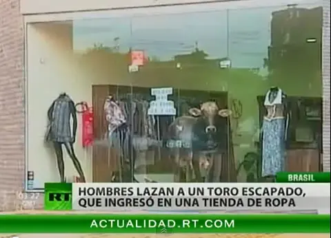 Curiosidades Para Pasar El Tiempo :D