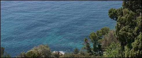 El mar Mediterraneo, en peligro