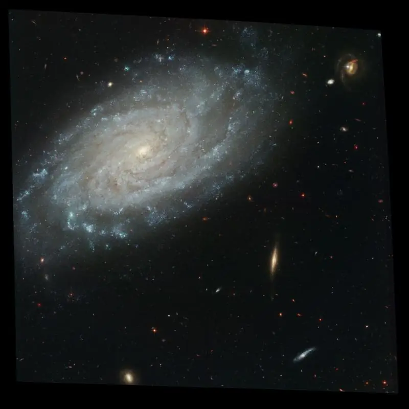 galaxias