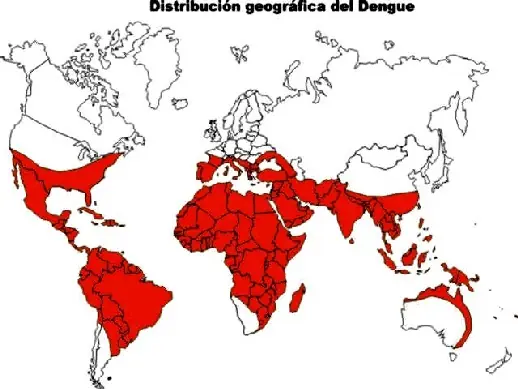 Dengue Información