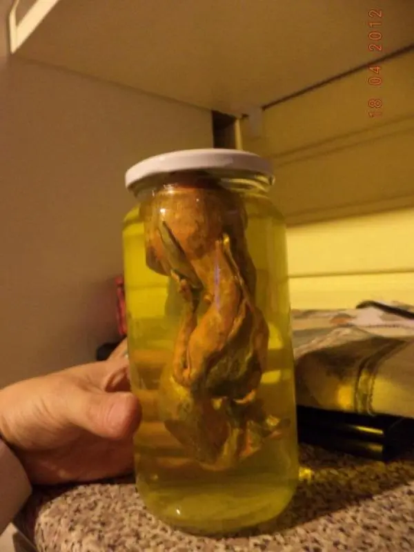 Encontraron un extraterrestre en chile (posta)