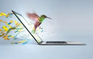 Lo mas Nuevo del 2012