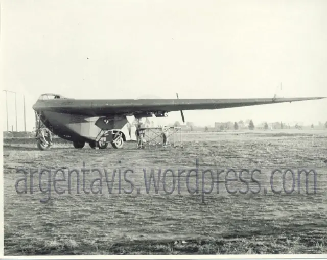 I.Ae. 38 Hörten "Naranjero"