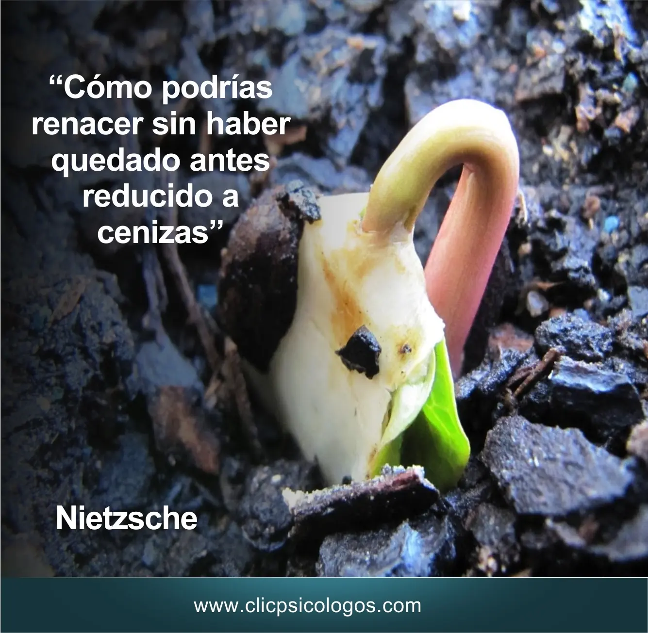 clicpsicologos