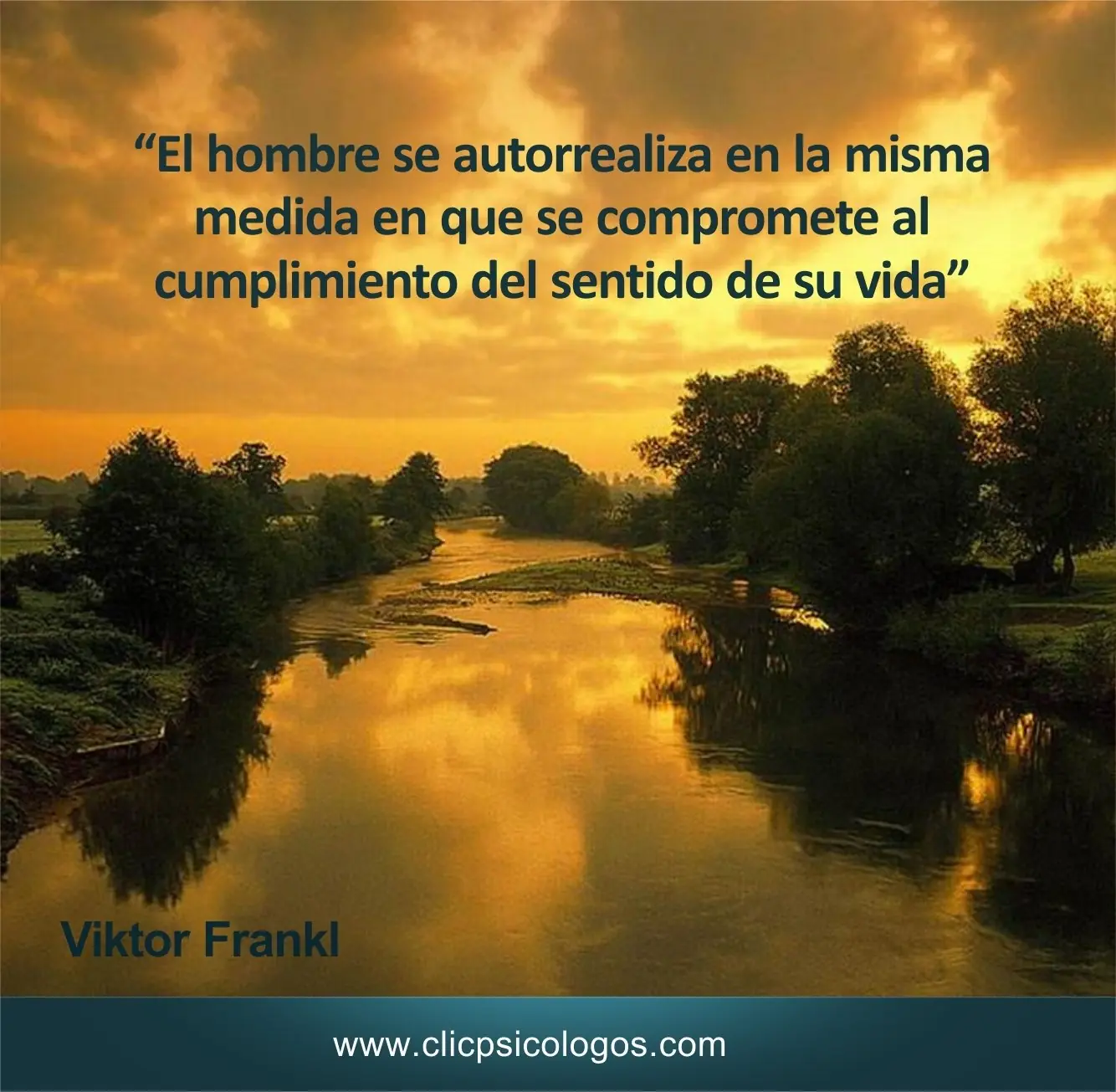 psicologos