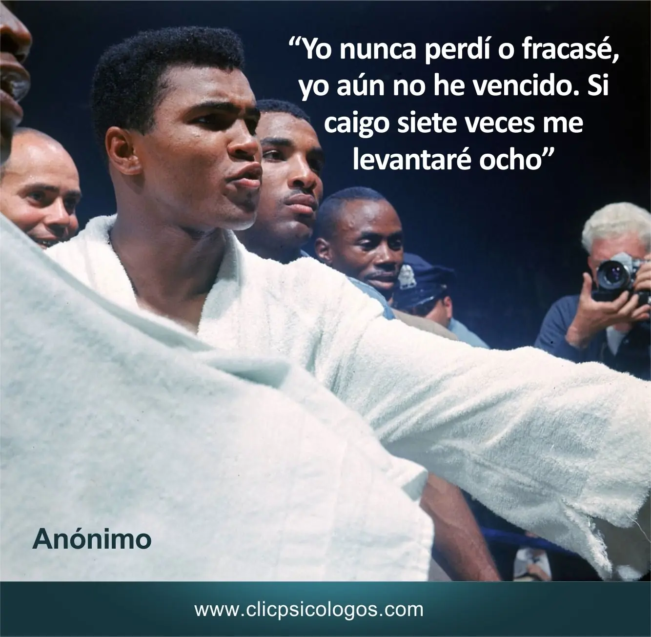 psicologo online