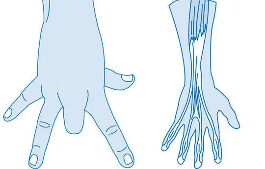 Experimenta con tu cuerpo
