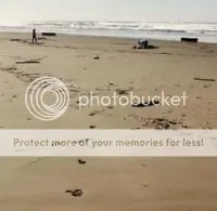 Intrigante hallazgo en playas norteamericanas.