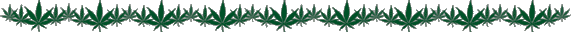 todo acerca de la marihuana