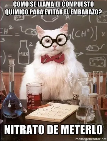 El meme del gato quimico