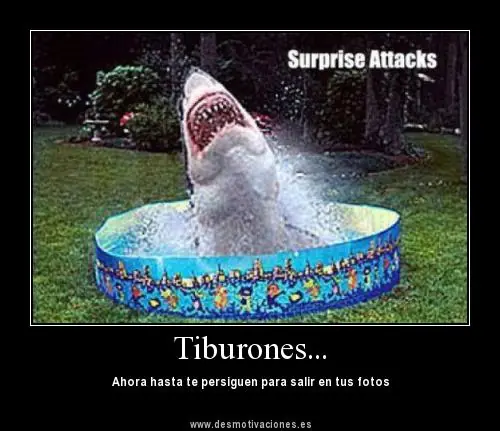 chichi