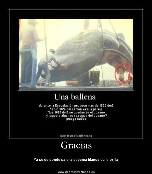 humor