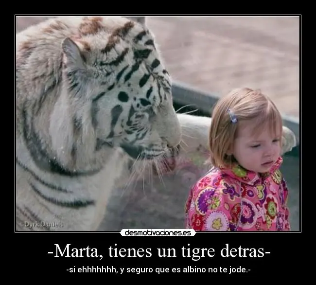 humor