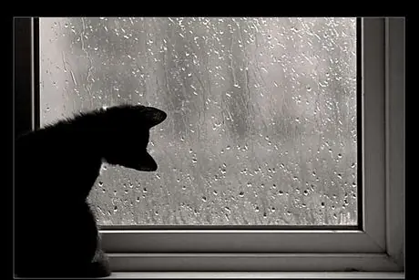 lluvia