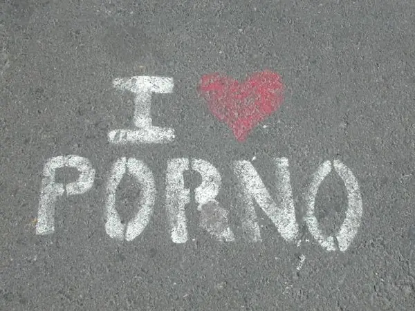 30 cosas que las pelis porno nos enseñaron
