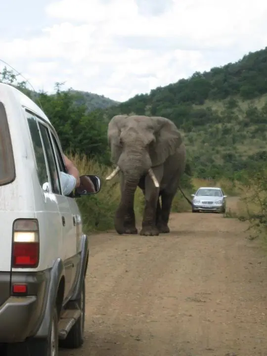 10 cosas mas increíbles que hacer antes de morir.