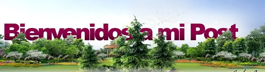 Como ganar y ahorrar dinero con la basura