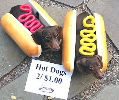 Hot dogs que caminan!!!