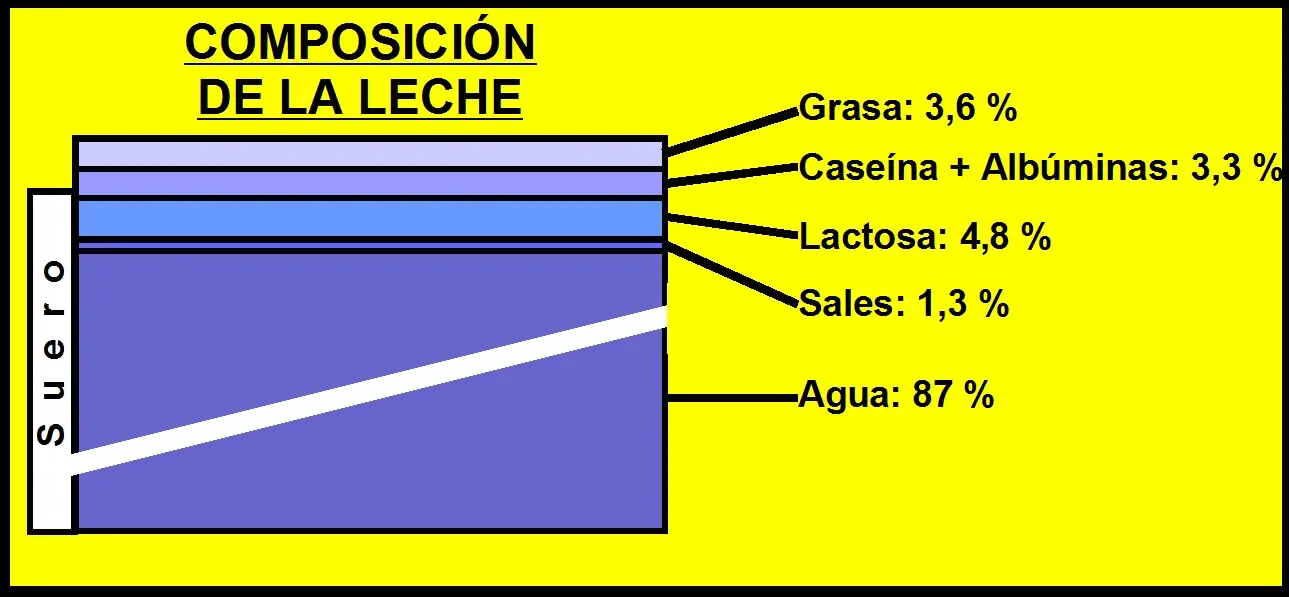Leche-Bromatologia Argentina