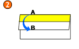 Linea