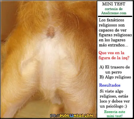 Test de todo para todos!