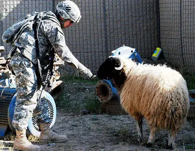 EE.UU. legaliza la zoofilia en el Ejército