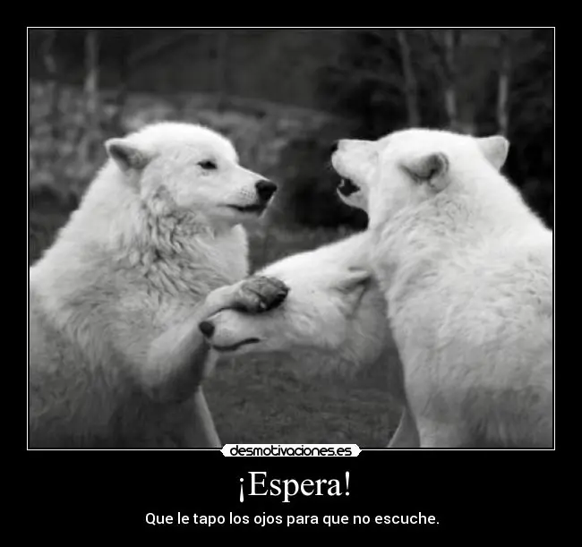 Megapost de carteles graciosos, divertidos y chorradas 2.