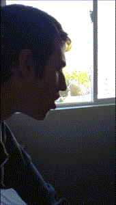 Gifs