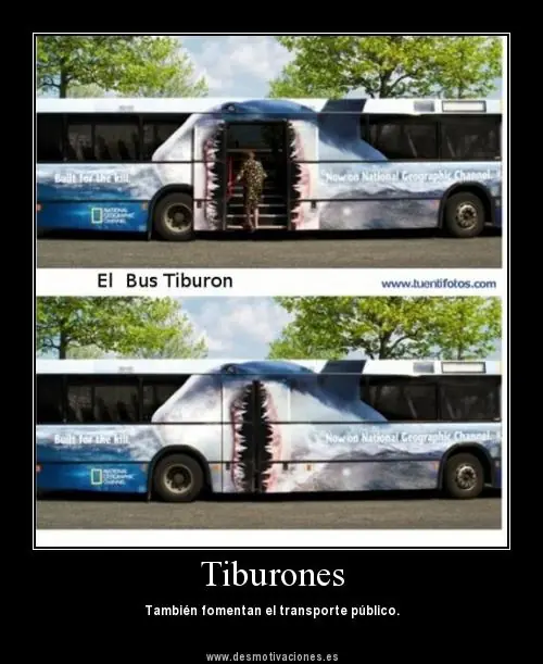 Imagenes graciosas. Diviertete