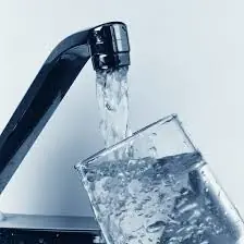 Sistema Nervioso Central