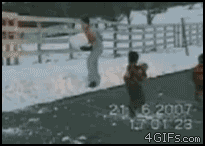 Gifs