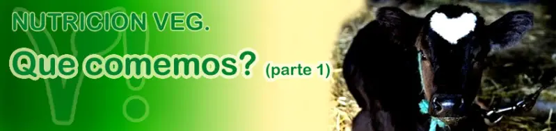 Vegetaringa! - Que Comemos? (1ª parte)