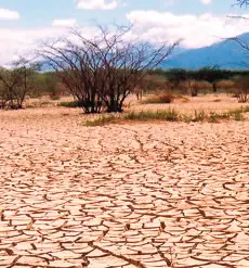 Desertificación