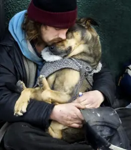 Cómo un Perro puede Ayudarnos a combatir la Soledad