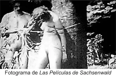El cine porno nazi